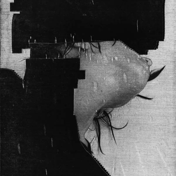 Illustration pour Le nouveau vinyle de la semaine (36)&nbsp;: These Hidden Hands