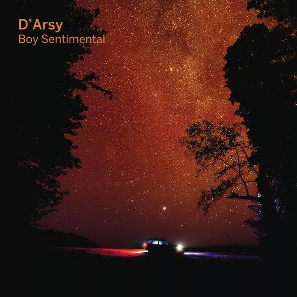 Illustration pour D&rsquo;Arsy – Boy Sentimental