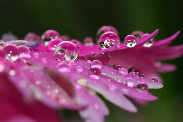 Illustration pour La playlist du mois&nbsp;: juin &rsquo;16