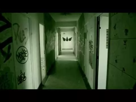 Illustration pour Clip&nbsp;: Fakear – « Damas »