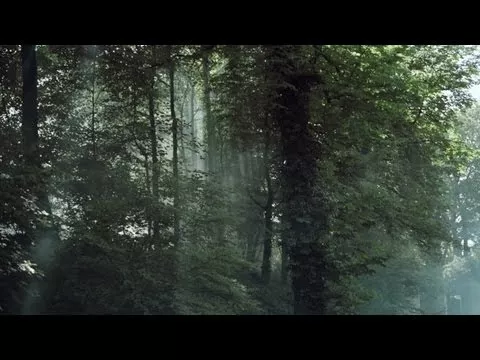 Illustration pour Clip&nbsp;: Nasser – « The World Is Ours »