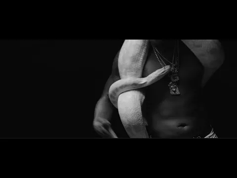 Illustration pour Clip&nbsp;: Freddie Gibbs prend un bain de serpents
