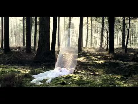 Illustration pour Clip: Herr Styler – « Happiness Was A Light Sleeper »