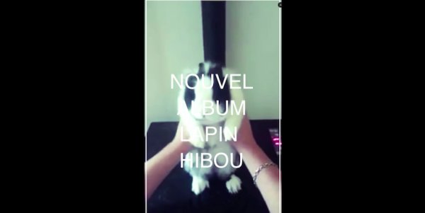 Illustration pour Stupeflip fait une dédicace à toutes les zouzs