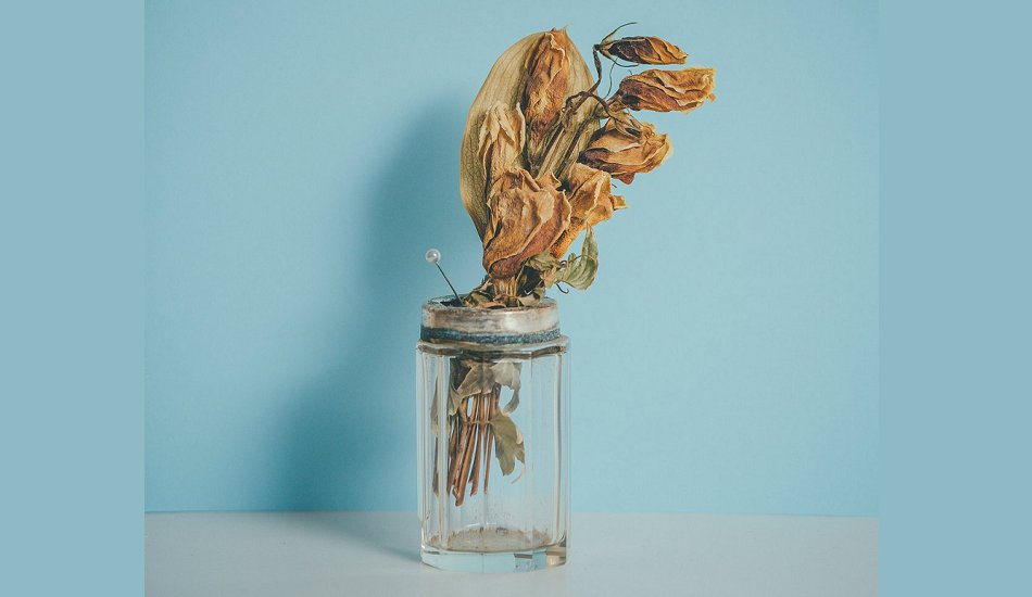 Illustration pour La playlist du mois&nbsp;: février &rsquo;17