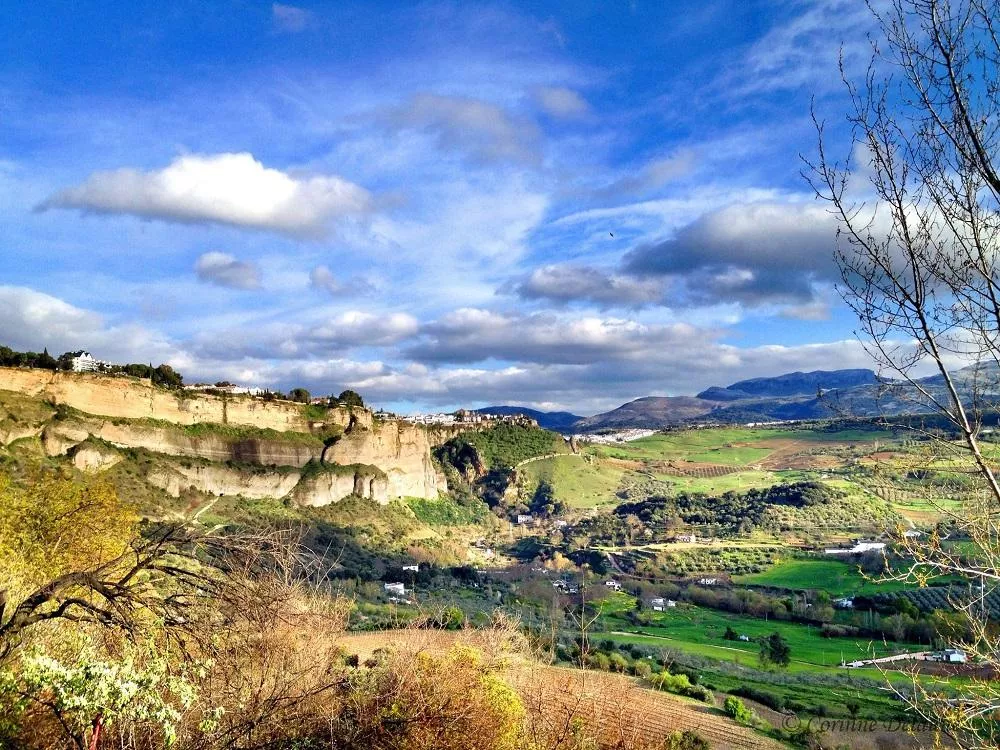 Illustration pour uva-festival-2