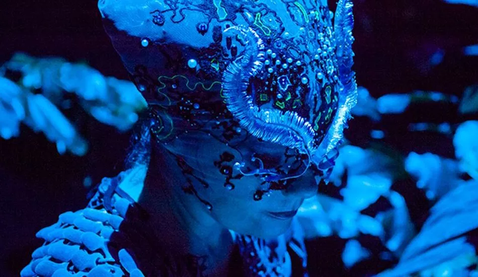 Illustration pour Sónar Festival&nbsp;: Björk s&rsquo;occupera de la soirée d&rsquo;ouverture avec un DJ set de quatre heures