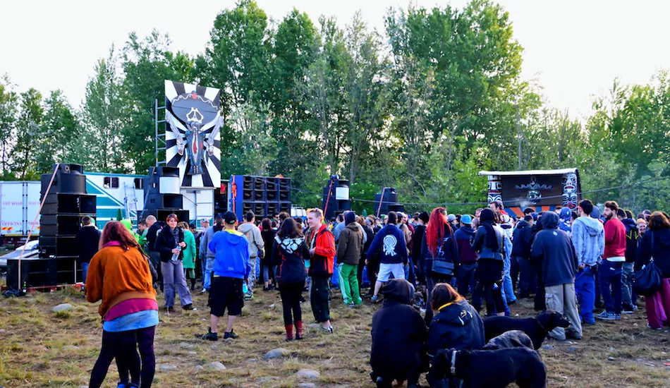 Illustration pour Dans le Finistère, une rave-party reportée pour respecter la nidification des oiseaux