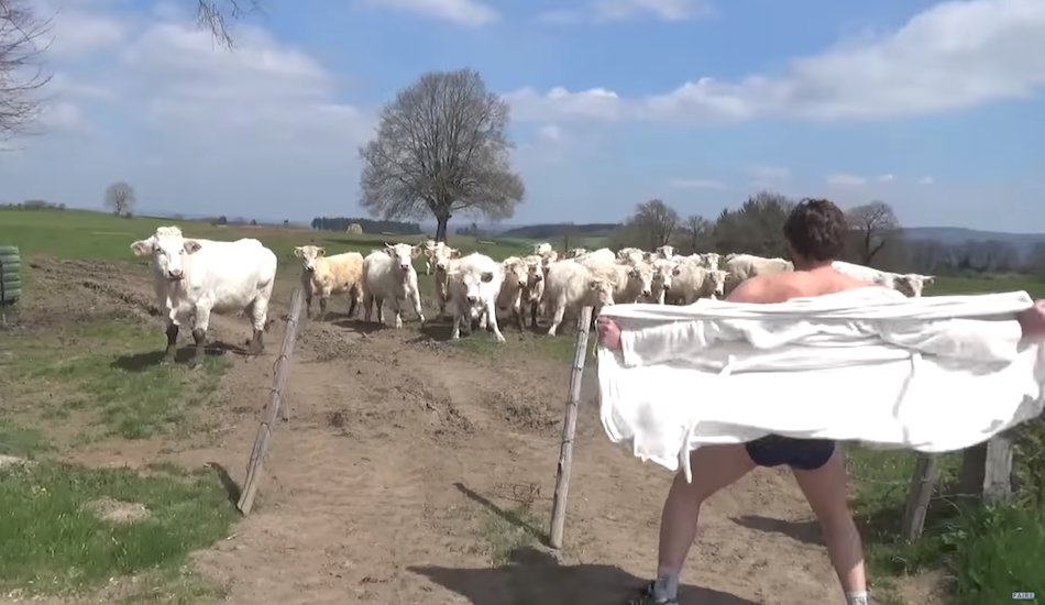 Illustration pour A voir&nbsp;: « Henri Border », le nouveau clip bucolique et perché de FAIRE