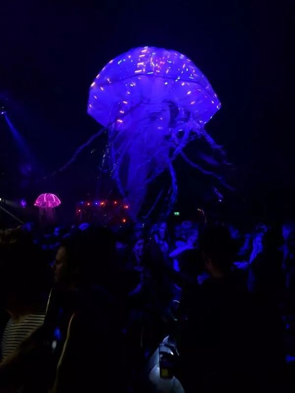 Illustration pour meduse