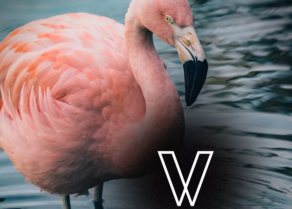 Illustration pour Ça sort aujourd’hui&nbsp;: vendredi 27 octobre