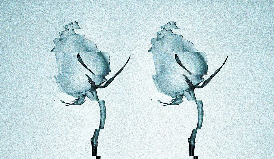 Illustration pour Ça sort aujourd&rsquo;hui – vendredi 10 novembre