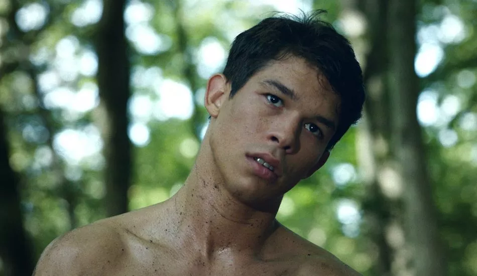 Illustration pour Instant course-poursuite dans la forêt pour le clip « Wolf » de Chinese Man