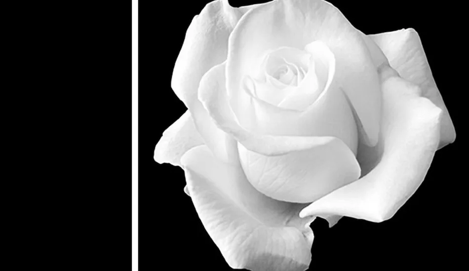 Illustration pour Ça sort aujourd’hui&nbsp;: vendredi 10 août