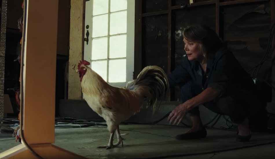 Illustration pour A voir&nbsp;: « oh baby », l&rsquo;histoire d&rsquo;amour à la Portal de LCD Soundsystem