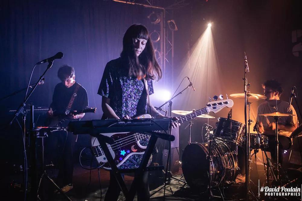 Illustration pour Tapeworms