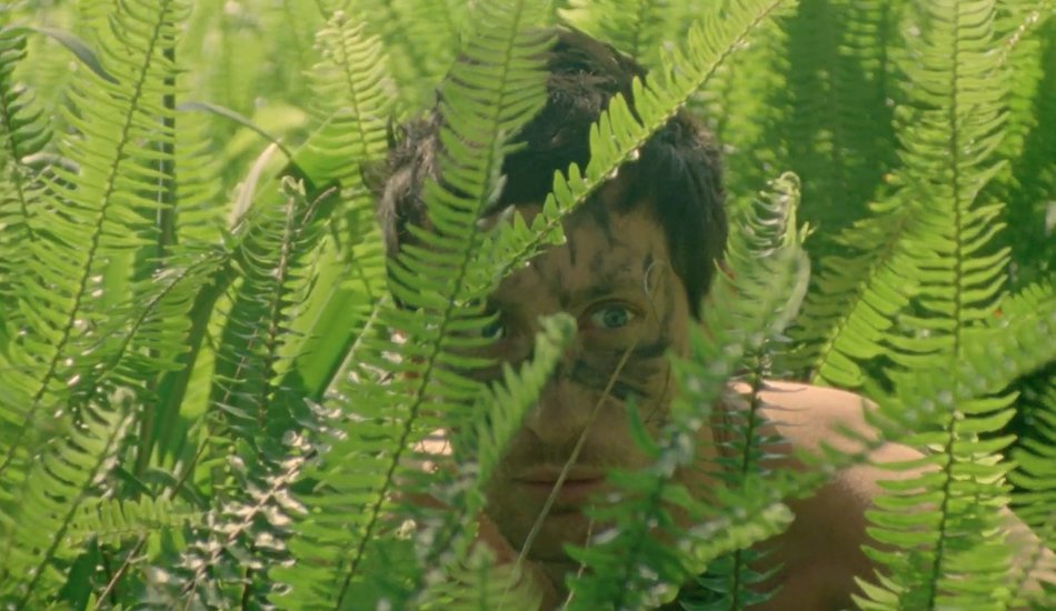 Illustration pour Les piscines sont meurtrières dans « In The Air », le clip estival d&rsquo;Allah Las