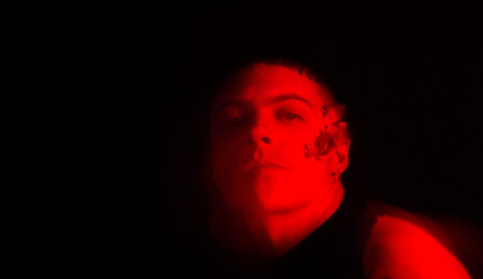 Illustration pour Questions de genre, d’identité et de pop music&nbsp;: rencontre avec Nelson Beer