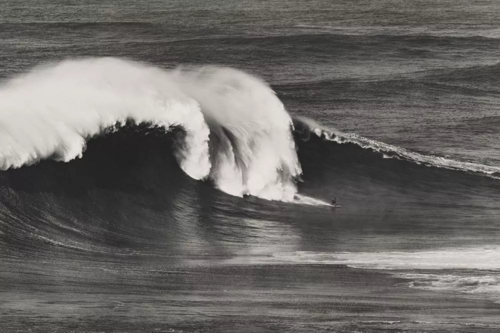 Illustration pour Surf et techno&nbsp;: la folle histoire derrière le dernier album de Molécule