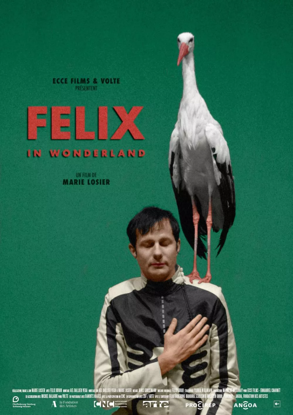 Illustration pour FIW – Poster Web