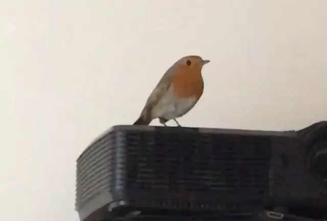 Illustration pour TSUGI web – interview confinement La Fraîcheur – photo 6  (C) La Fraicheur