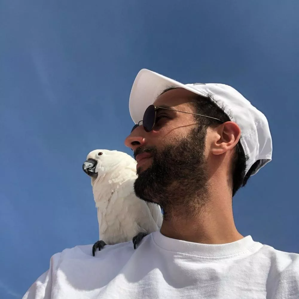 Illustration pour kareem el morr