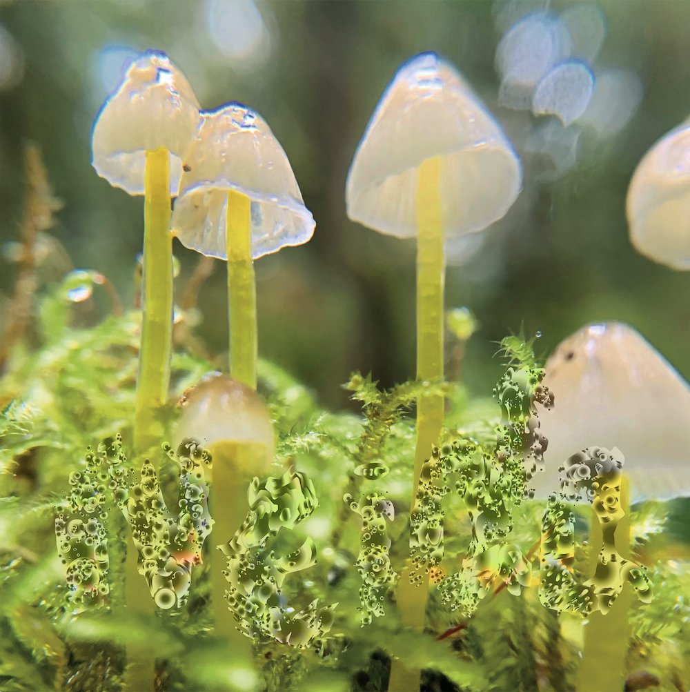 Illustration pour Slowing by Neida