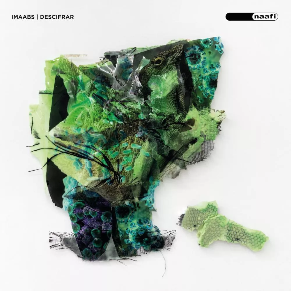 Illustration pour imaabs