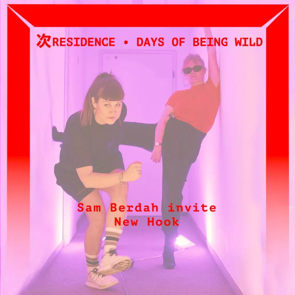 Days of Being Wild : Sam Berdah & New Hook