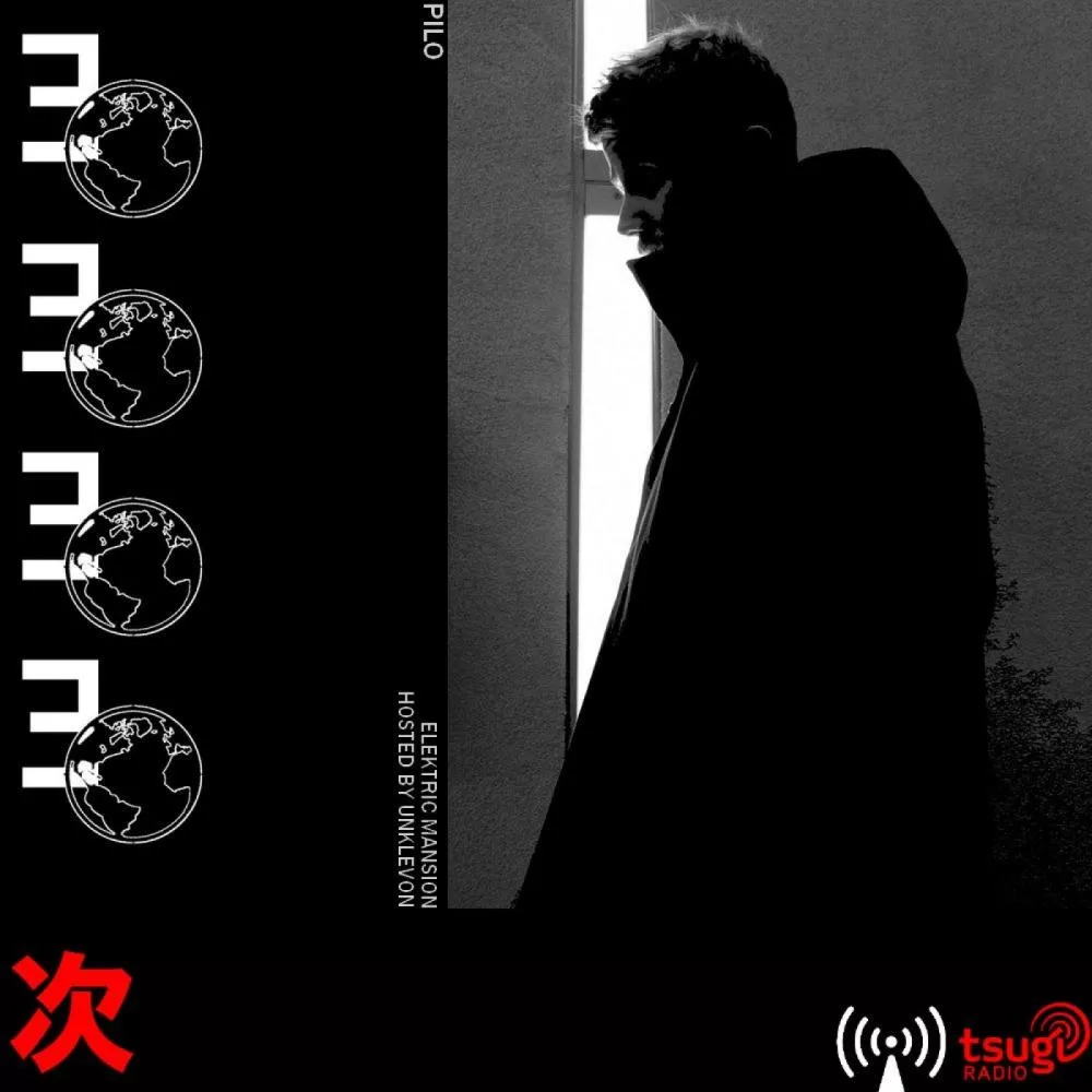 Elektric Mansion : Pilo