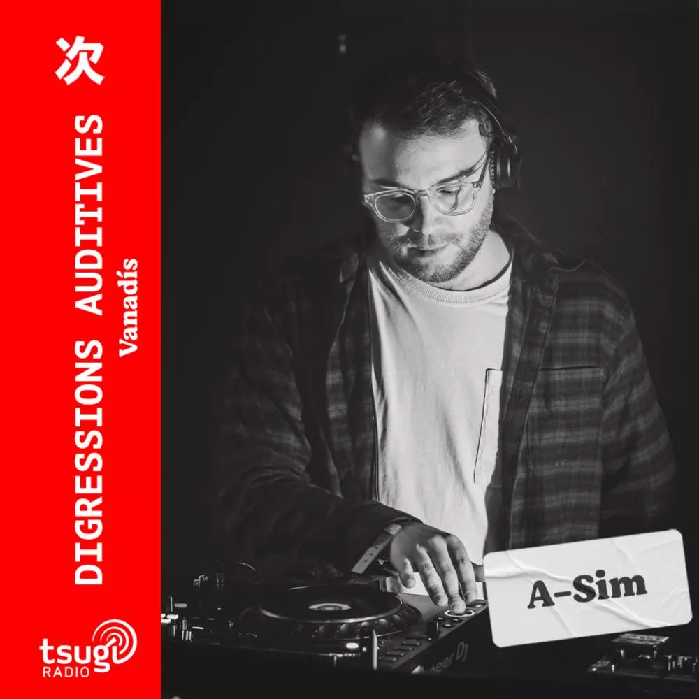  Digressions Auditives Avril 2024 avec A-Sim 