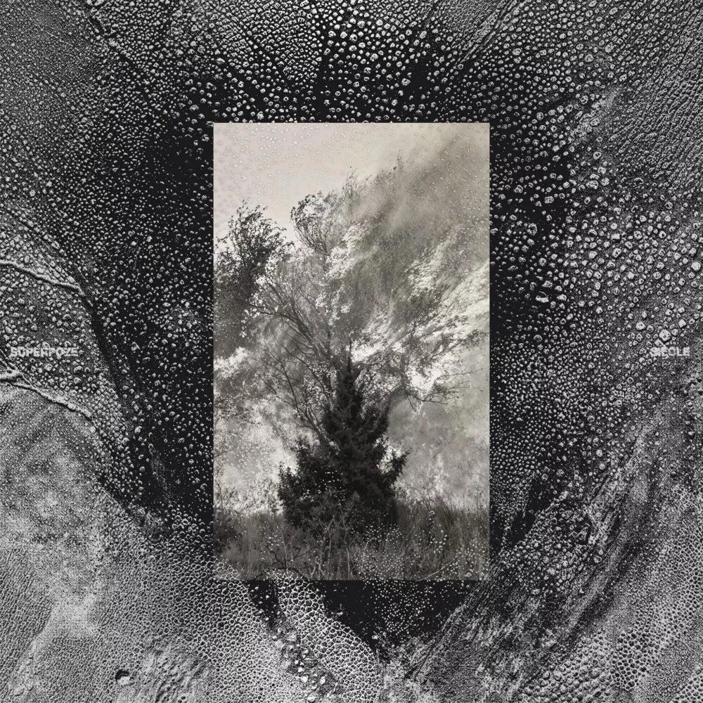 Pochette de l'album Siècle © Superpoze