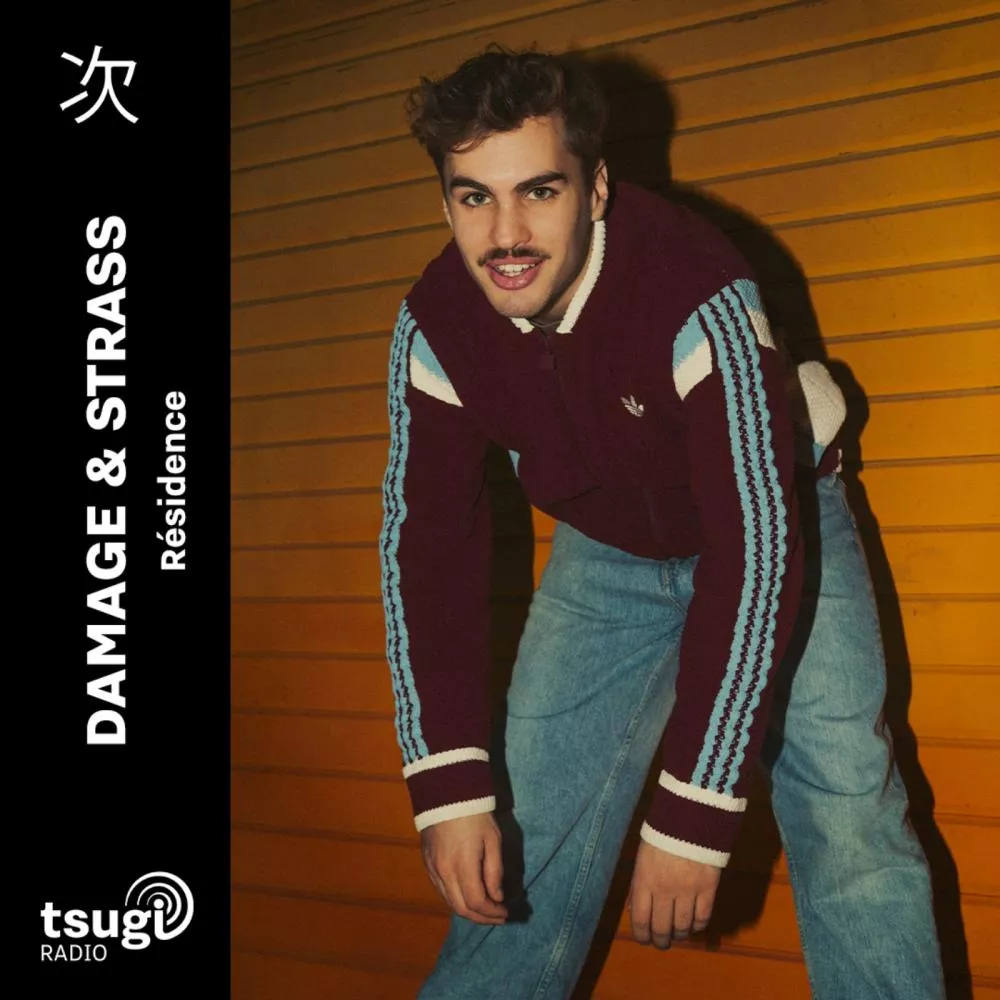 Illustration pour Damage & Strass invite Yanmez