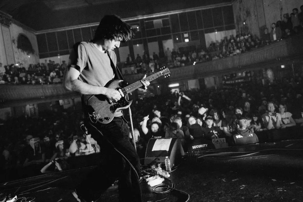 Geese © Lewis Evans