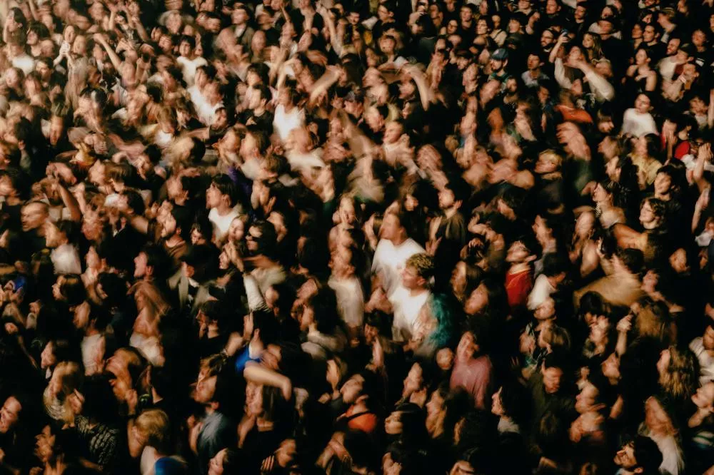 Geese © Lewis Evans