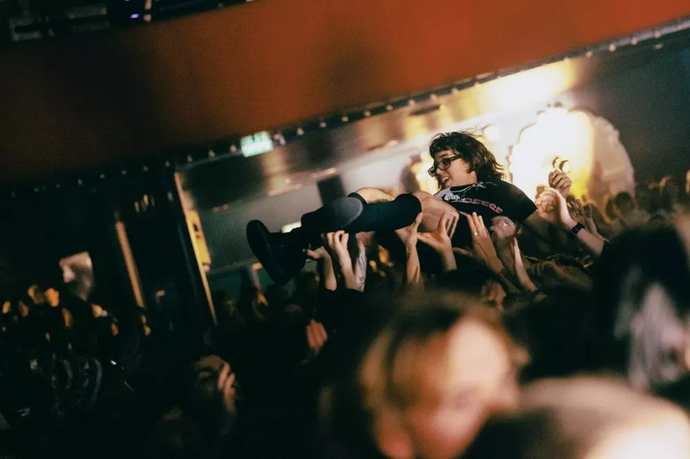 Geese © Lewis Evans