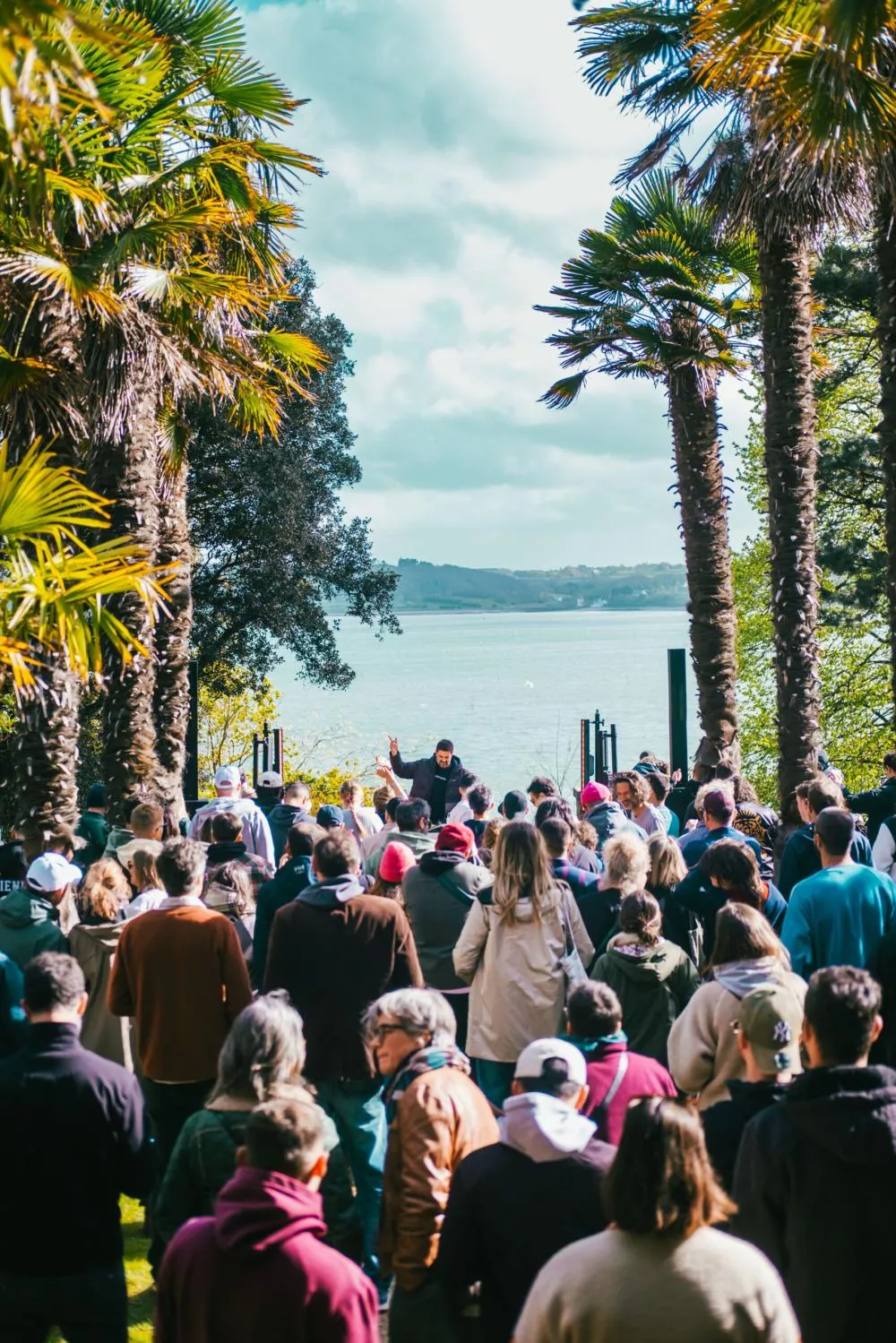 Illustration pour nto-lilydkb-16