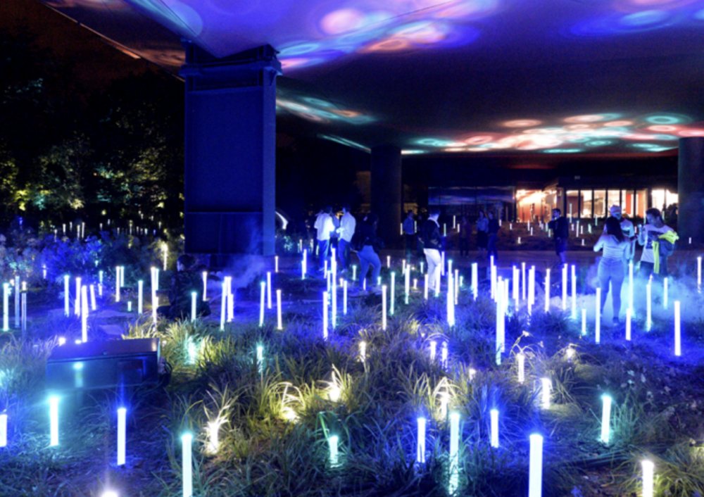 Musée quai Branly - Jacques Chirac Thibaut Chapotot
