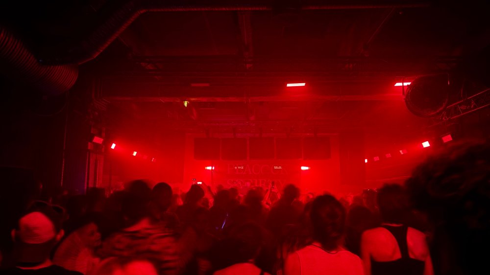 Boys Noize et Salomé